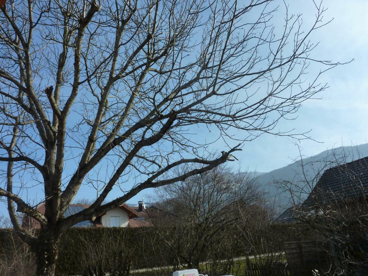 Studio 30 M2 Jardinet 10Minutes Annecy Villa Naves-Parmelan Kültér fotó
